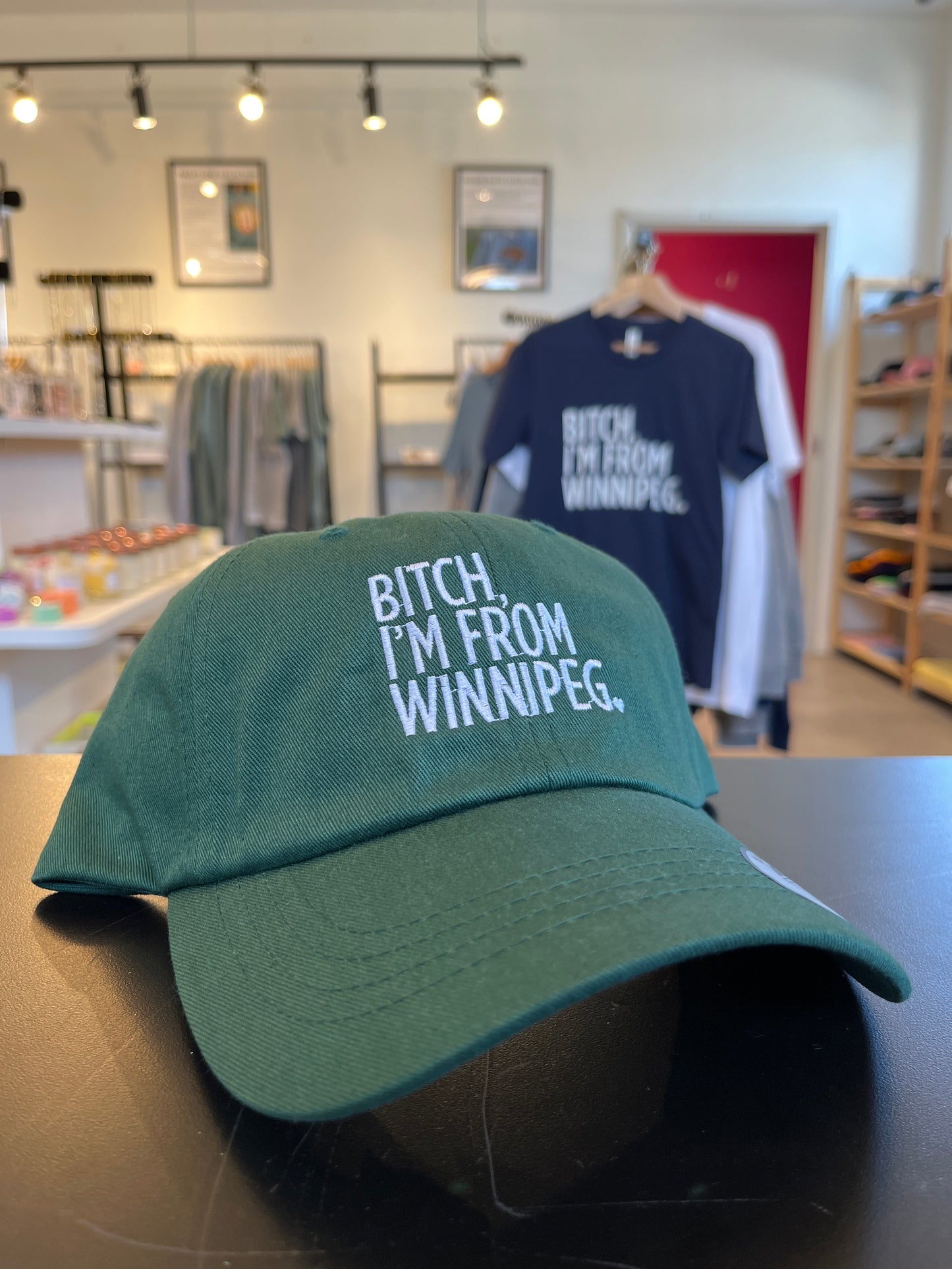 Bitch, I'm From Winnipeg Dad Hat | White on Forest