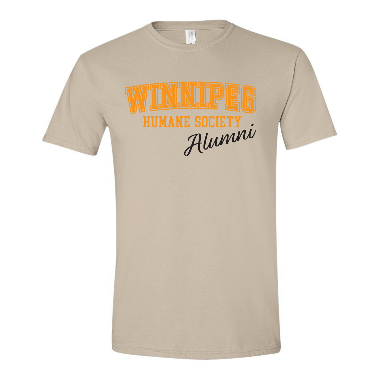 WHS Alumni Varsity Tee | Cream