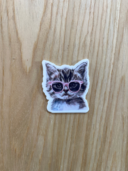 Cool Kitten Sticker