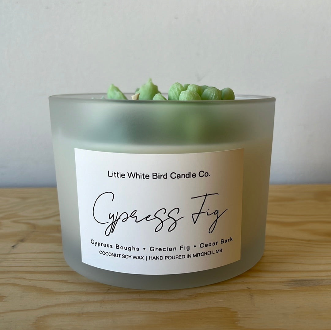 Cypress Fig Succulent Candle