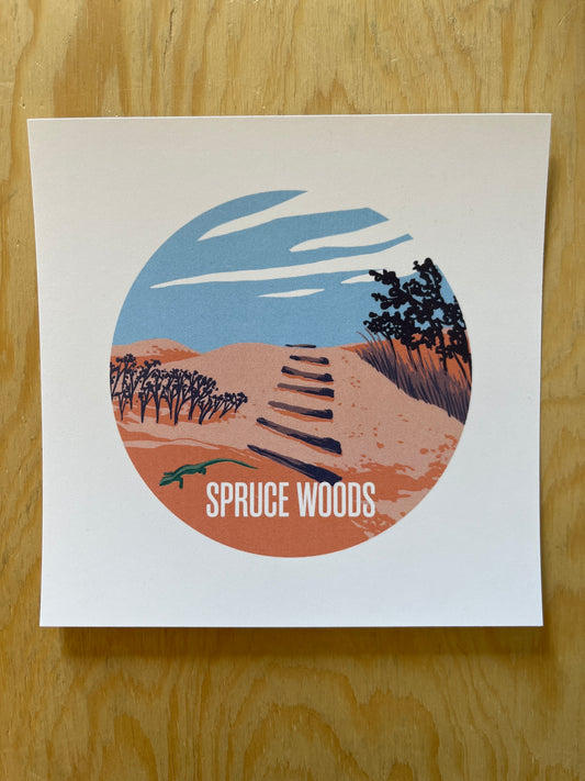 Spruce Woods Postcard
