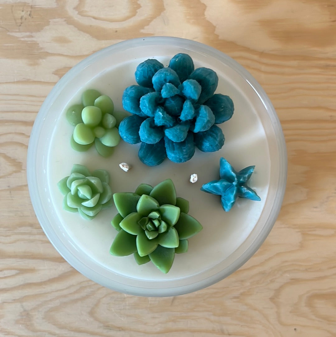 Starry Nights Succulent Candle