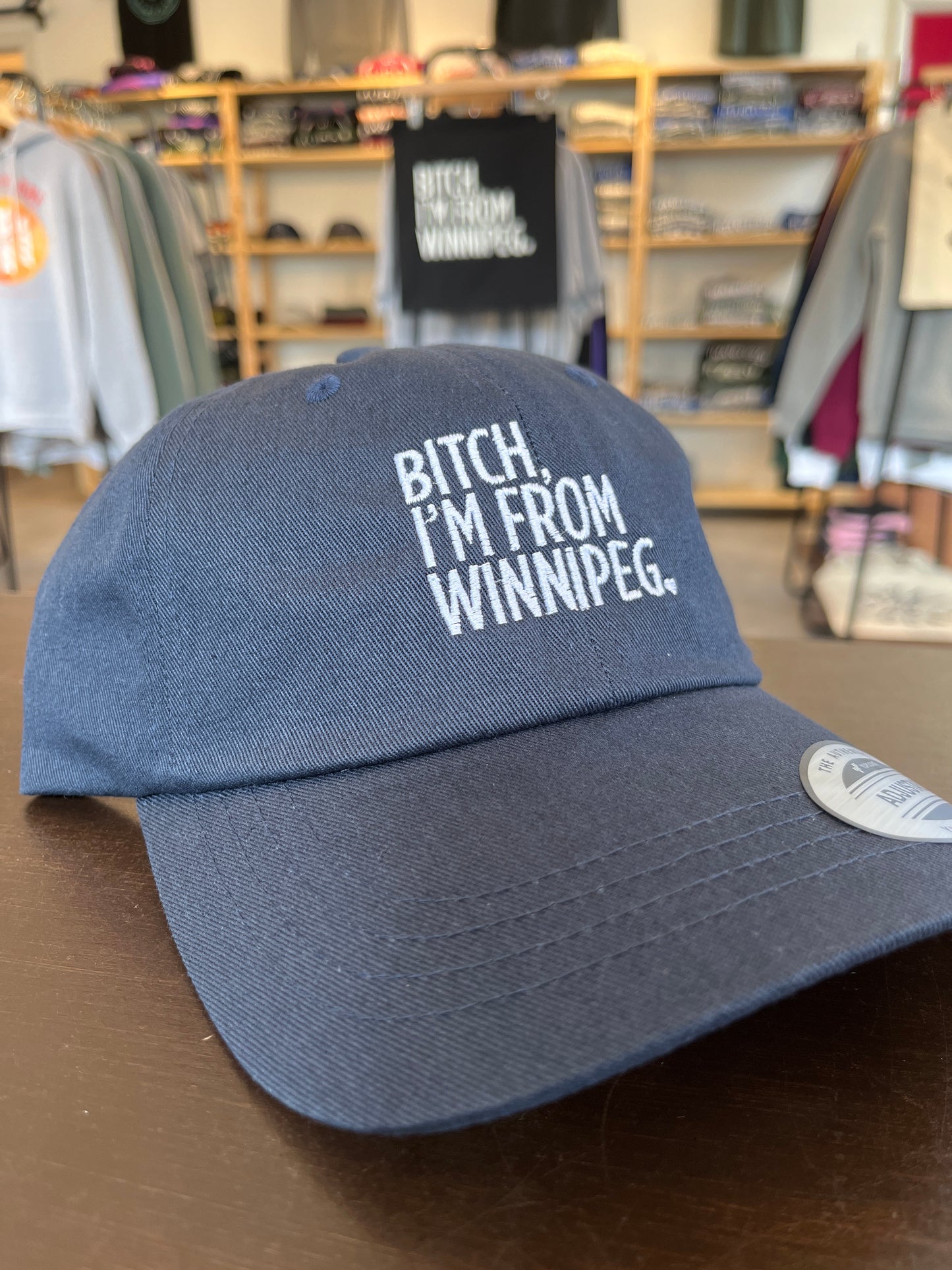 Bitch, I'm From Winnipeg Dad Hat | White on Navy