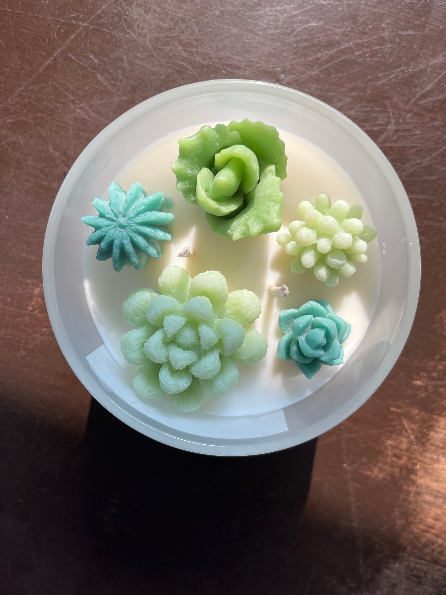 Cactus Flower Succulent Candle