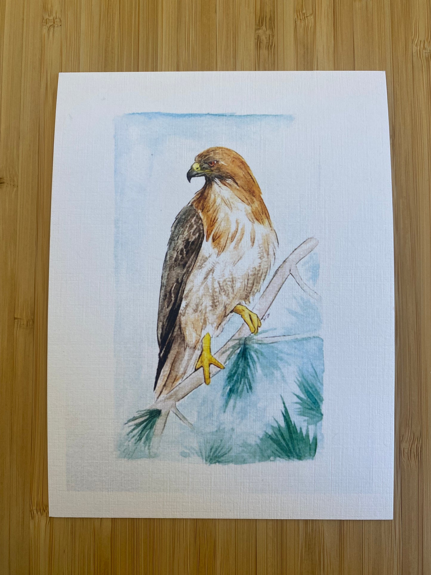 Hawk Print