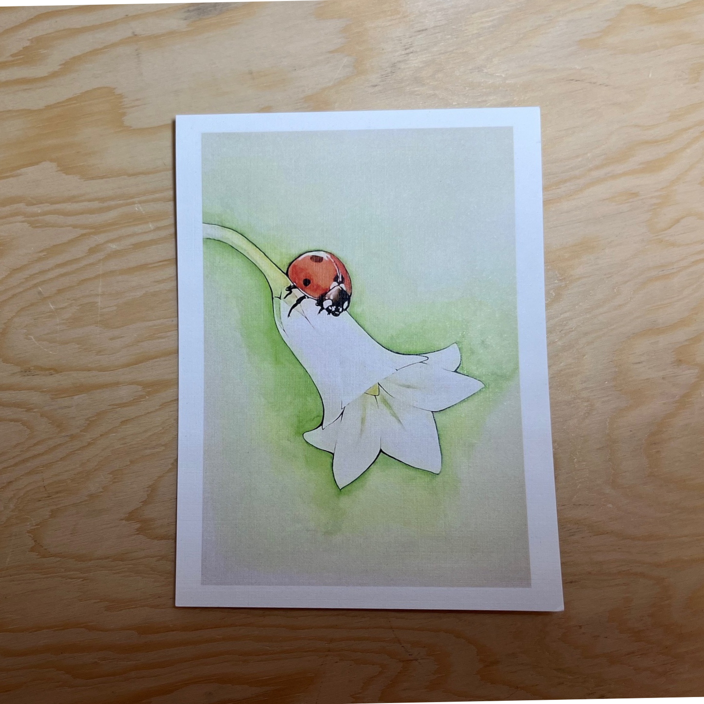 Lady Bug Print